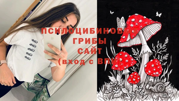 ПСИЛОЦИБИНОВЫЕ ГРИБЫ Арсеньев