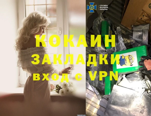ПСИЛОЦИБИНОВЫЕ ГРИБЫ Арсеньев