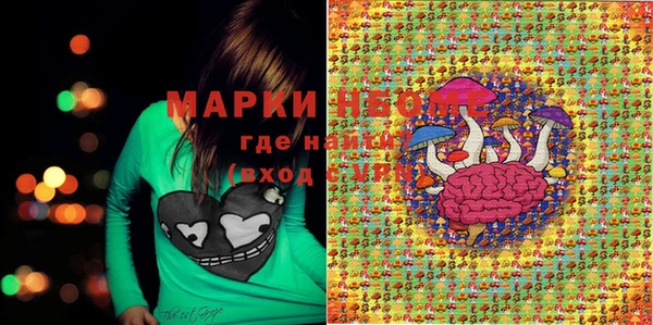 ПСИЛОЦИБИНОВЫЕ ГРИБЫ Арсеньев