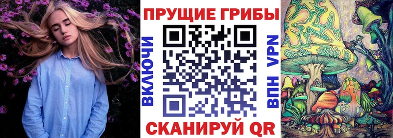 хочу наркоту  omg вход  Псилоцибиновые грибы GOLDEN TEACHER  Сарапул 